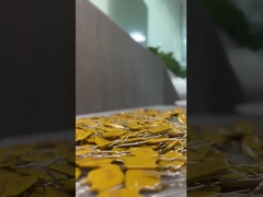 Cầu chì tự đặt lại PPTC được chữa khỏi, Polyswitch Cầu chì có thể đặt lại chống cháy