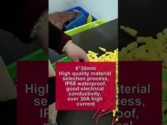 Giá đỡ hộp cầu chì dây màu vàng Chống nước 30A 250V 5*20mm 6*30mm Ống gốm thủy tinh