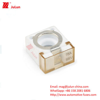 Giá đỡ cầu chì Rv Truck CFBAR1-250CS 1 Đường ống góp SBM-C