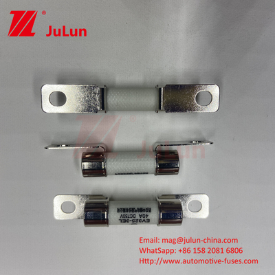 Bảo vệ EV xe điện Fuse chuyển đổi công suất 15A 30A 25A 750VDC 10x38 EV FUSE