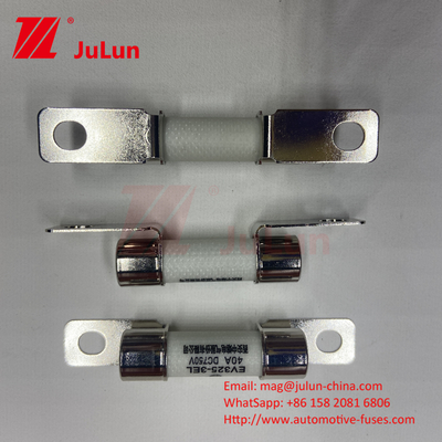 DC750V 10A-100A Boxed EV Fuse For Electric Vehicle Traction System Energy Storage 25A 30A 50A EV Fuse