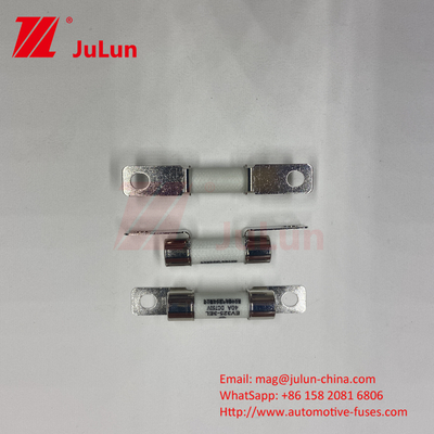 Ceramic Automotive 10A 15A 750VDC Fuses Ceramic Vehicle Fuses 25A 30A 40A 50A Ues Cho bộ sạc xe EV