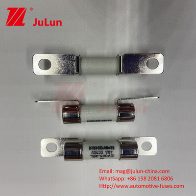 ISO8820 Máy bảo mật gắn bói gốm ô tô 30A 40A 50A 750VDC 10 * 38mm EV325