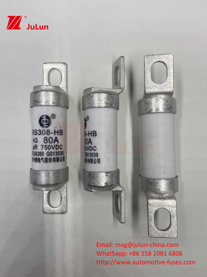 Fuse xe điện EV cho DC750V FUSE DC750V 10A 15A 20A 25A 30A Cho ứng dụng ô tô RS308