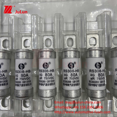 EV Fuse 100A Tính năng Xây dựng đệm Đặc biệt 750VDC 10A 25A 50A 63A