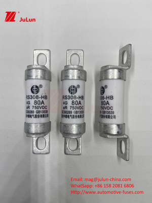 EV Fuse 100A Tính năng Xây dựng đệm Đặc biệt 750VDC 10A 25A 50A 63A