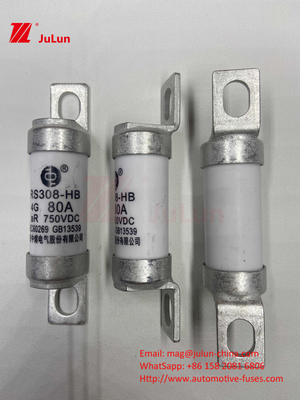EV Fuse 100A Tính năng Xây dựng đệm Đặc biệt 750VDC 10A 25A 50A 63A