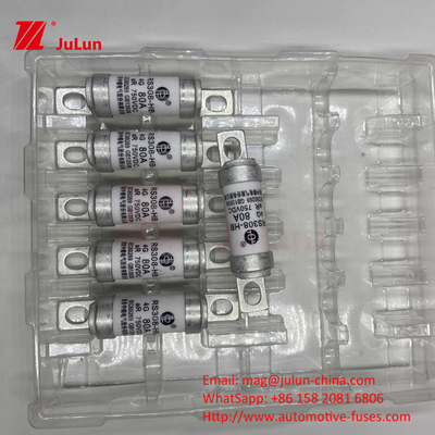 Bộ an toàn xe điện RS308 DC750V 10A 15A 20A Với khả năng chống rung tuyệt vời 63A