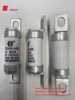 Bộ an toàn xe điện RS308 DC750V 10A 15A 20A Với khả năng chống rung tuyệt vời 63A