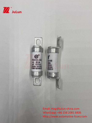 EV RS308 Fuse Mechanical Shock 25A 30A 40A 50A đồng gốm Đánh giá điện áp DC750V Bộ sạc EV gia đình cho xe điện
