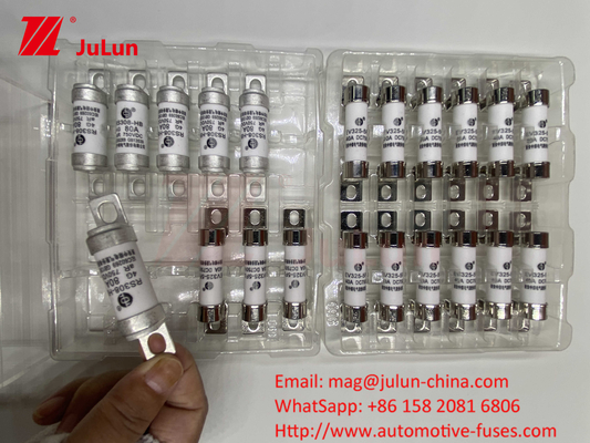 63A RS308 HB Fuse Bolted Mounting 80A 10A 15A 40A Fuses gốm ô tô với Bolt Mounting