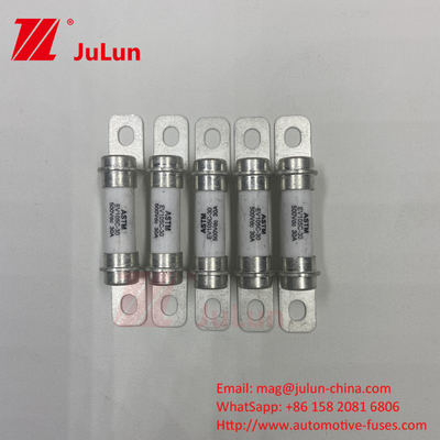 30A Xe lai 500VDC Fuse Bolt M6 DC Thiết bị ô tô và thiết bị mạch ngắn và hỗ trợ