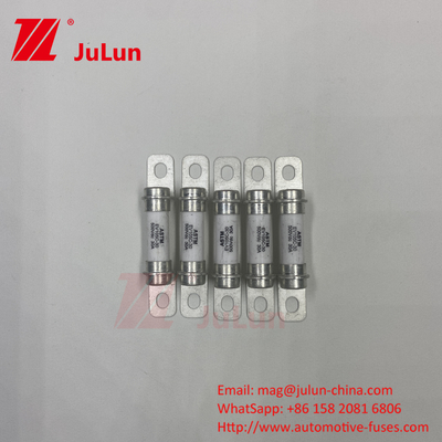EV Fuse Standard UL248-10A 20A 50A 40A Fuse Energy Storage System 500VDC High Break