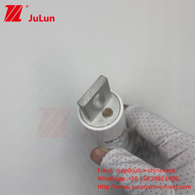 RS309-MM-EV250A 100KA Điện áp trung bình Xe điện Sạc nhanh / Sạc nhanh Ev Dc