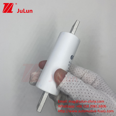 RS309-MM-EV250A 100KA Điện áp trung bình Xe điện Sạc nhanh / Sạc nhanh Ev Dc