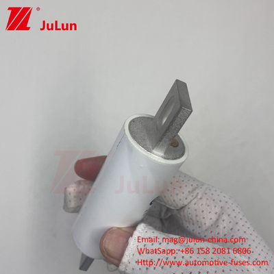 RS309-MM-EV500A1000VDC 50KA 1000VAC 100KA Bảo vệ chuông chuông