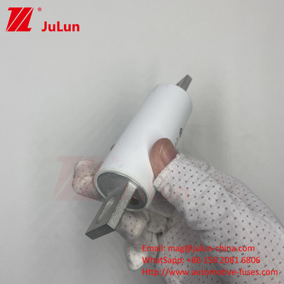 RS309-MM-EV500A1000VDC 50KA 1000VAC 100KA Bảo vệ chuông chuông
