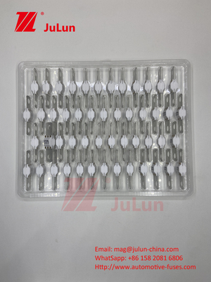 Đồ gốm ô tô ASTM A121601 Fuse Xe điện 300A 125VDC Lưu trữ năng lượng sạc