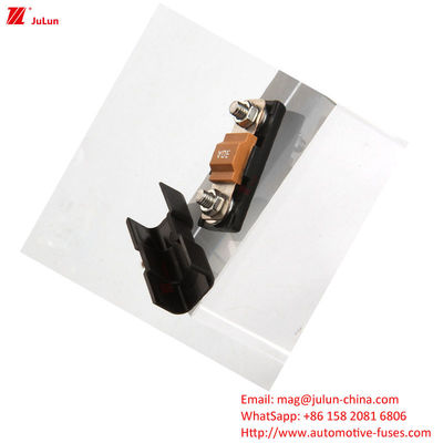 32V ô tô Fuse Holder với 30A-500A Bolt/Bolt định lượng Ampere 2-pole Fuse Block