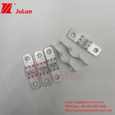 ASTM A121601-200A 125VDC EV Charger Bolt Screw Fuse cho xe đường bộ