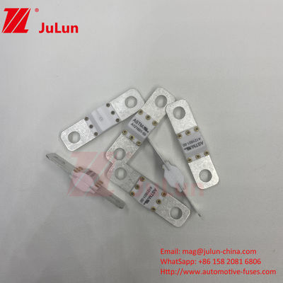ASTM 300A 125VDC Bolt Screw Fuse A121601 Để bảo vệ xe điện
