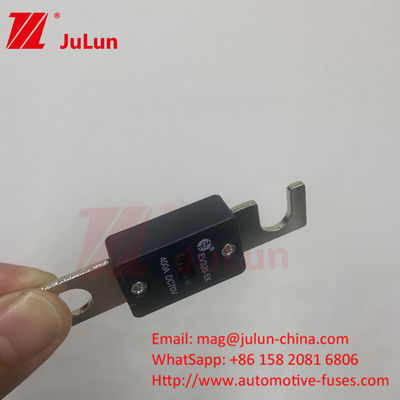 EV320-5X 80A 100A 125A 150A 175A 200A 70VDC EV Fuse cho bảo vệ mạch ngắn đáng tin cậy