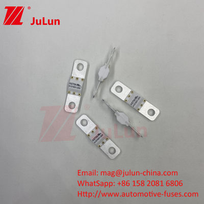 ASTM 100A Ev Charger Adapter Fuse tương thích với Ccs Ev ChargerBolt Screw 125VDC 10KA 20KA