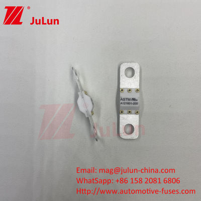 125VDC 150A ASTM Bolt Screw Dc Sạc xe điện gia đình EV Bộ sạc điện cho xe điện EV121601