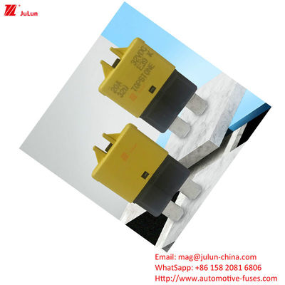 Bảo vệ mạch ô tô Fuse Holder nhựa / Nylon EU UL Standard 30A-500A Marine đồng liên lạc ngắt mạch