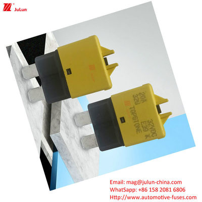 Bảo vệ mạch ô tô Fuse Holder nhựa / Nylon EU UL Standard 30A-500A Marine đồng liên lạc ngắt mạch
