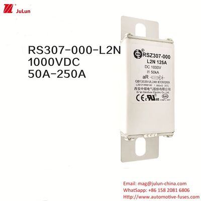 100A Bolt On Ev Dc Sạc nhanh / Sạc nhanh xe điện RSZ307-000-L2N Fuse