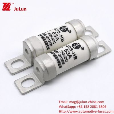 Ev Charger Adapter RS308-HB4G Series 32A 63A 100A Chất bảo hiểm nhỏ cho xe hơi