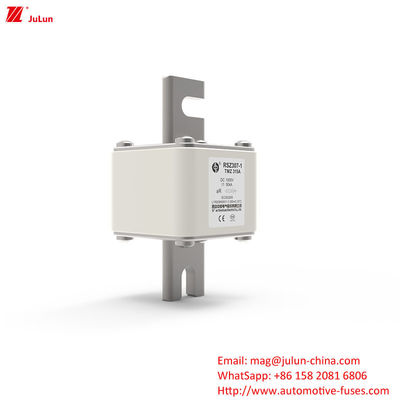 315A DC250V Portable EV Charger Fuse Giải pháp cuối cùng cho chủ sở hữu EV
