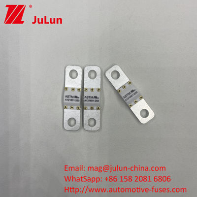 A121601-80A A121601-150A Chất bảo hiểm lưỡi xe hơi / Chất bảo hiểm lưỡi xe hơi để duy trì sự ổn định lưu trữ năng lượng pin