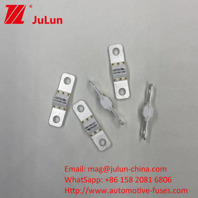 ASTM Electric Vehicle Fuse 50-350A 3KA / 6KA / 8KA Đẹp vít A121601-150A