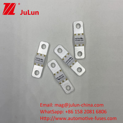 125 VDC Bộ sạc pin ô tô Fuse A121601-300A Bộ sạc năng lượng Motorcycle