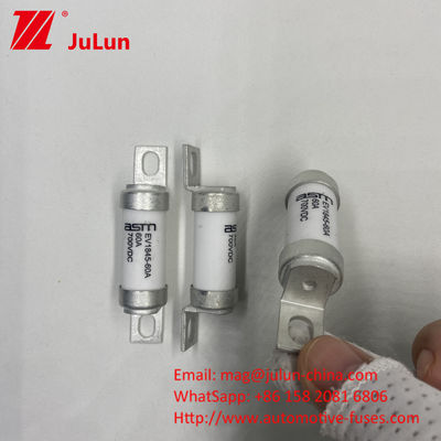 80A 700VDC M6 10kA Fuse Capacity Breaking for DC Electric Car Charging