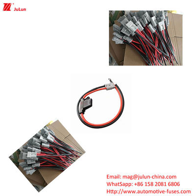 Tiêu chuẩn Eu UL 30A-100A Fuses ô tô được sử dụng trong lĩnh vực xe động cơ năng lượng mới