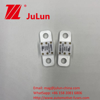 Đẹp A202001-300A 150VDC Ceramic Automotive Fuses thích hợp để chuyển đổi điện 150VDC Output Voltage