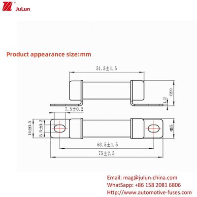 RS309 32A-35A -40A -50A Adapter bộ sạc điện điện hiện tại tương thích với điện áp 750VDC