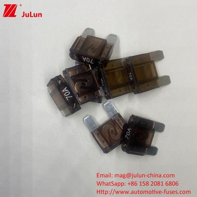 Tiêu chuẩn cao Auto Blade Fuses với 80A 32V