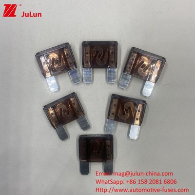 Tiêu chuẩn cao Auto Blade Fuses với 80A 32V