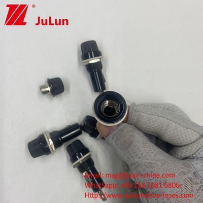 6 * 30mm 5 * 20mm Xây giữ bộ an toàn ô tô 10A 250V