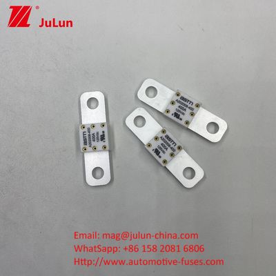 100 A 125V DC pin xe ô tô Fuse cung cấp bảo vệ đáng tin cậy và hiệu quả