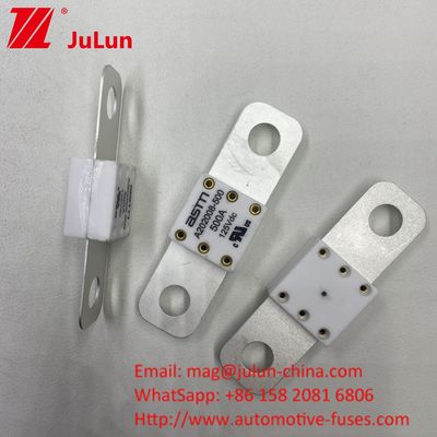 Chuyên gia A202008 300A 125VDC Bộ sạc pin ô tô hạng nặng Fuse 100A 150A 200A 250A 300A 350A 400A 500A 20KA Khả năng phá vỡ