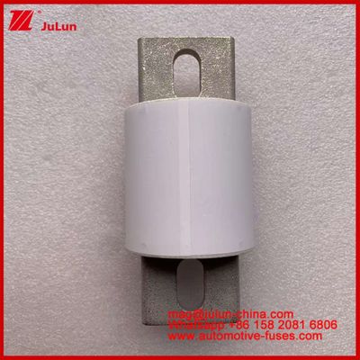 Động lực Hệ thống năng lượng Máy bảo hiểm ô tô gốm RS309-MD 600A 500VAC 200KA 500VDC 50KA AR Xe điện ống 30-800A