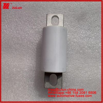 500A 400A RS309-MF EVE 750VDC ((UL) Xe đường ống lưu trữ năng lượng gốm hệ thống điện bộ sạc dây điện thiết bị ô tô và thiết bị 20KA