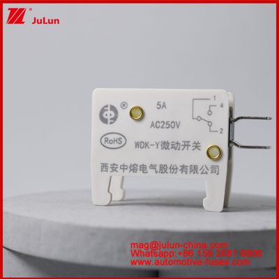 WDK-Y 5A 250V Micro Switch ô tô Mount Fuse cho EV / HEV Xe đặc biệt thiết kế cơ sở an toàn cho tình huống xe