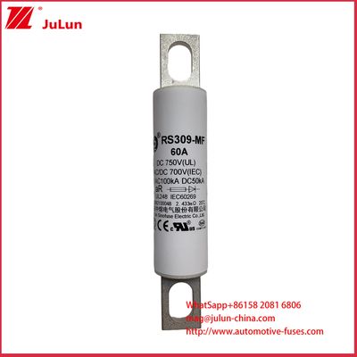 Cọc sạc xe tải hạng nặng RS309-MF 60A DC750C Xe điện Xe buýt điện Xe tải nhẹ điện và Cầu chì điện