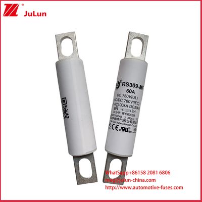 Cọc sạc xe tải hạng nặng RS309-MF 60A DC750C Xe điện Xe buýt điện Xe tải nhẹ điện và Cầu chì điện